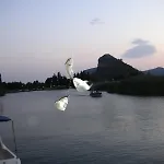 온데르